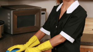 Guia Para Rescisão da Doméstica