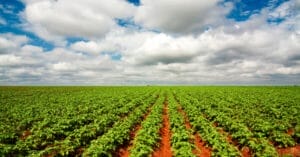 GUIA completo sobre ITR – Imposto sobre a propriedade territorial rural 3 ITR