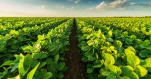 Influência americana na economia brasileira