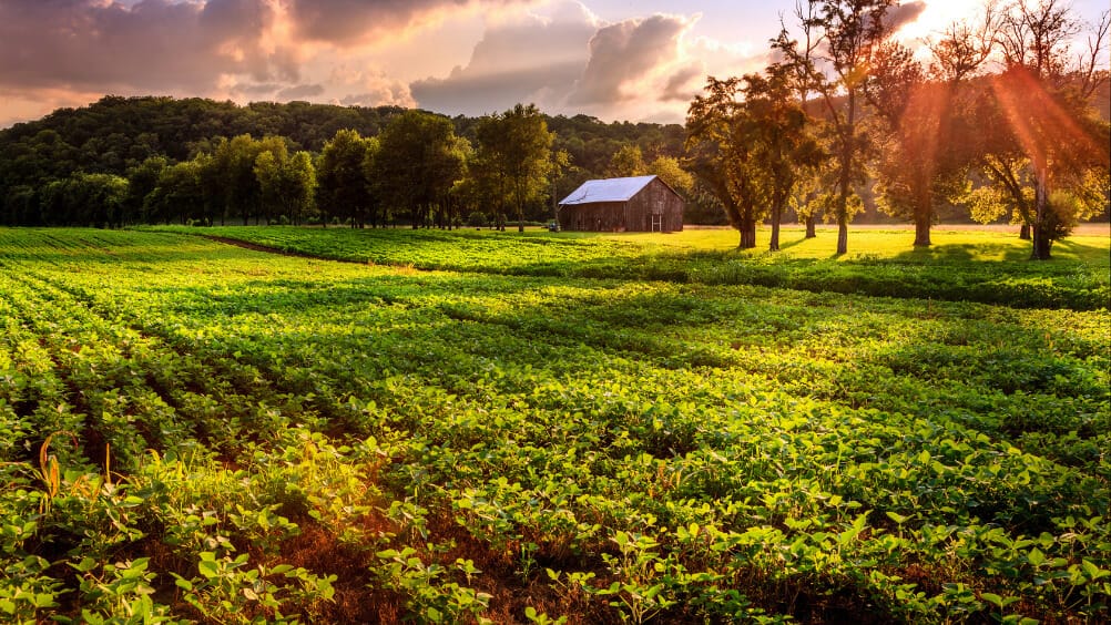 Funrural: Conheça o Fundo de Assistência ao Trabalhador Rural 1 Funrural