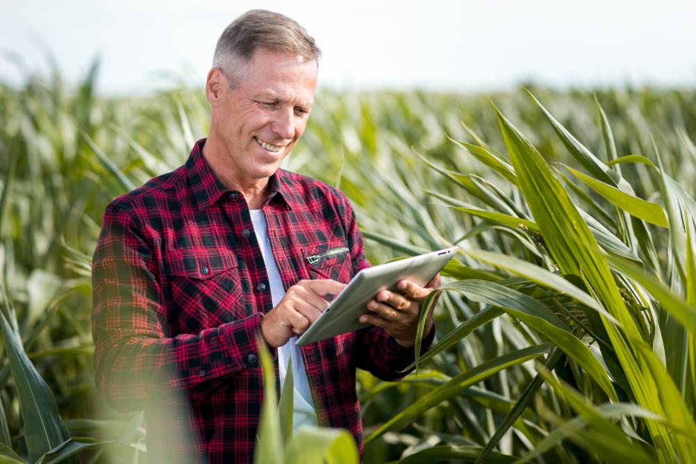 Atividade rural e agroindustrial Diferencas e sua tributacao