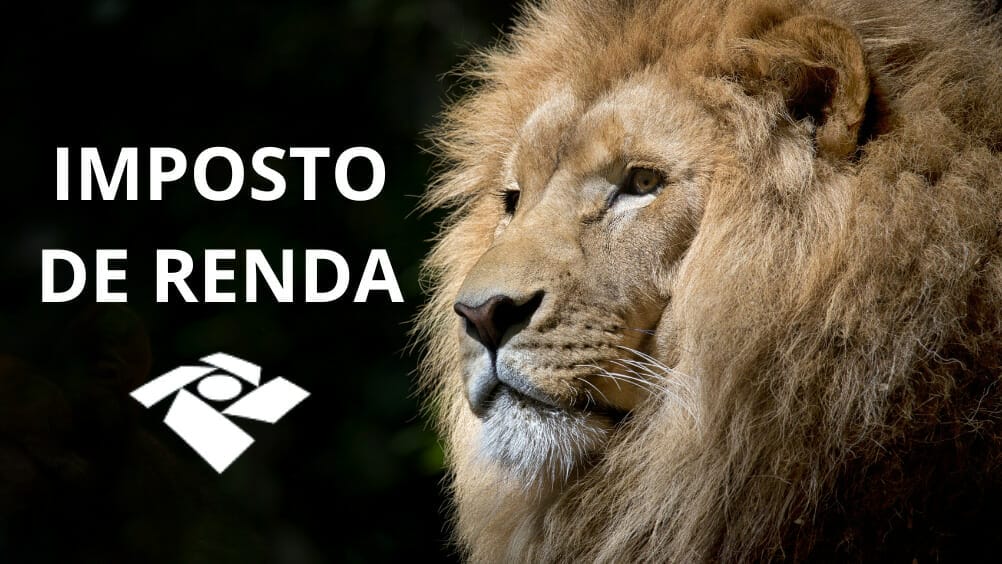 Como autorizar outra pessoa a acessar minha declaracao do ir 2023 Novo recurso facilita o processo