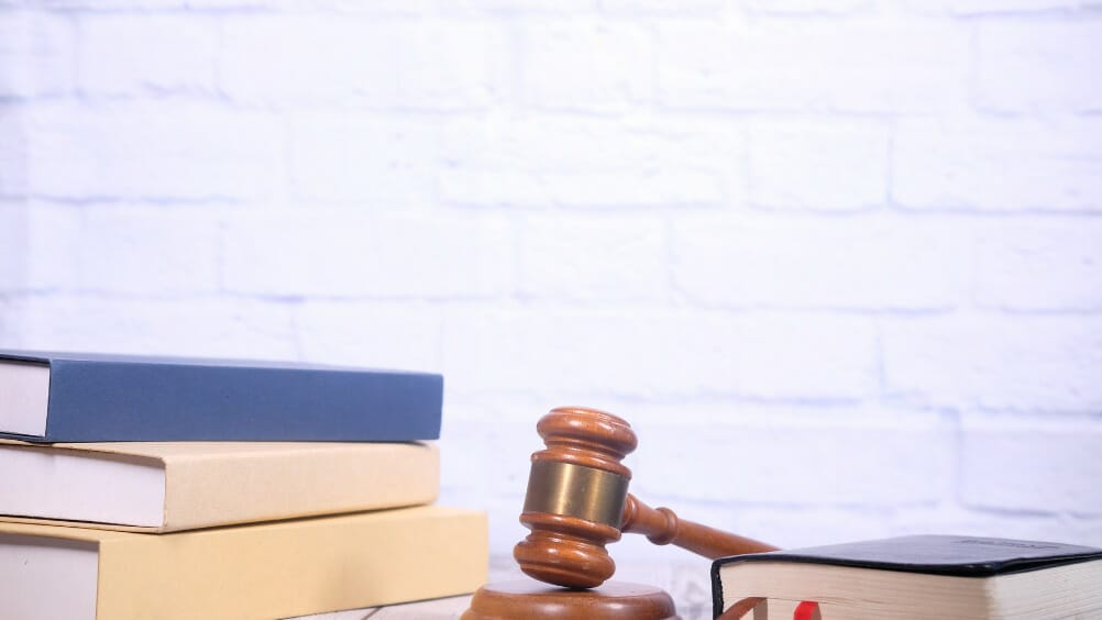 Decisao Inovadora do TRT2 Vinculo Empregaticio de Terceirizados em Ambientes Virtuais Reconhecido