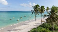 São Miguel dos Milagres, Alagoas Uma Joia Brasileira do Litoral Nordestino