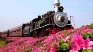 A Viagem pelo Trem do Vinho no Rio Grande do Sul