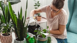 Como Cuidar de uma Planta Guia Básico para Regar, Adubar e Podar