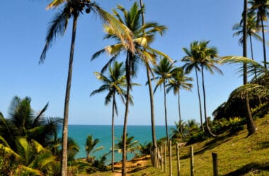 Itacaré, Bahia: Um Paraíso Brasileiro