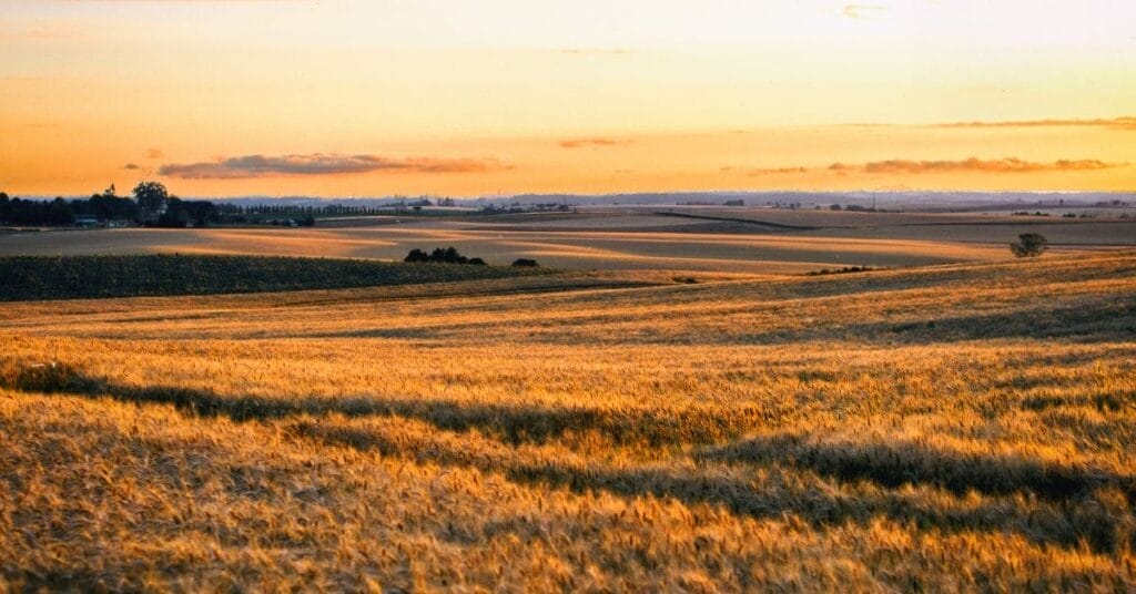 O que é Seara? 1 O que e Seara