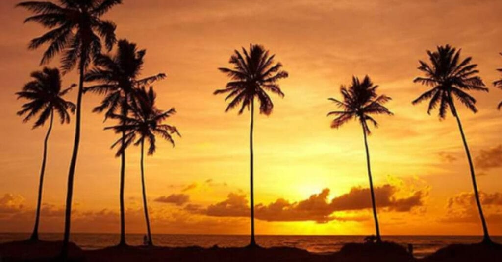 Porto de Galinhas, Ipojuca - Pernambuco: Um Paraíso Brasileiro 1 Porto de Galinhas PE