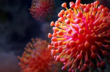 Sindicato Não Pode Representar Herdeiros de Trabalhadores Vítimas da Covid-19