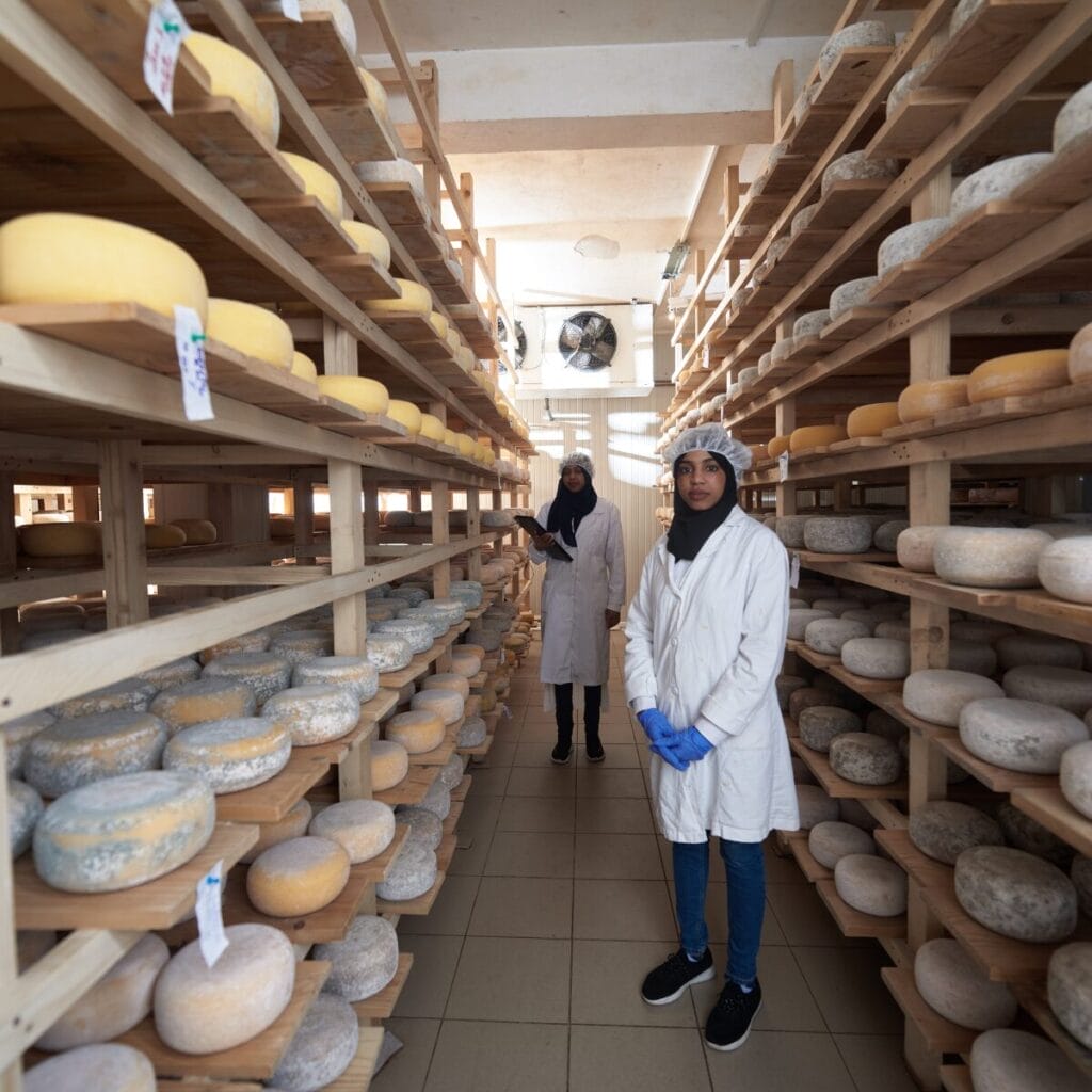 Empresa de Laticínios é Condenada a Pagar Dívida Trabalhista Após Aquisição de Unidade em Recuperação Judicial 1 Empresa de Laticinios e Condenada a Pagar Divida Trabalhista Apos Aquisicao de Unidade em Recuperacao Judicial