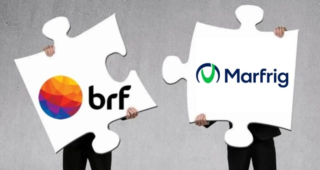 brf marfrig 4