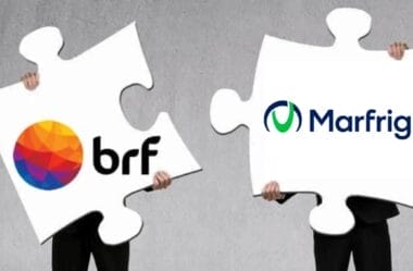 Fusão entre Marfrig (MRFG3) e BRF (BRFS3) pode destravar valor e reduzir riscos, diz Goldman Sachs – Money Times