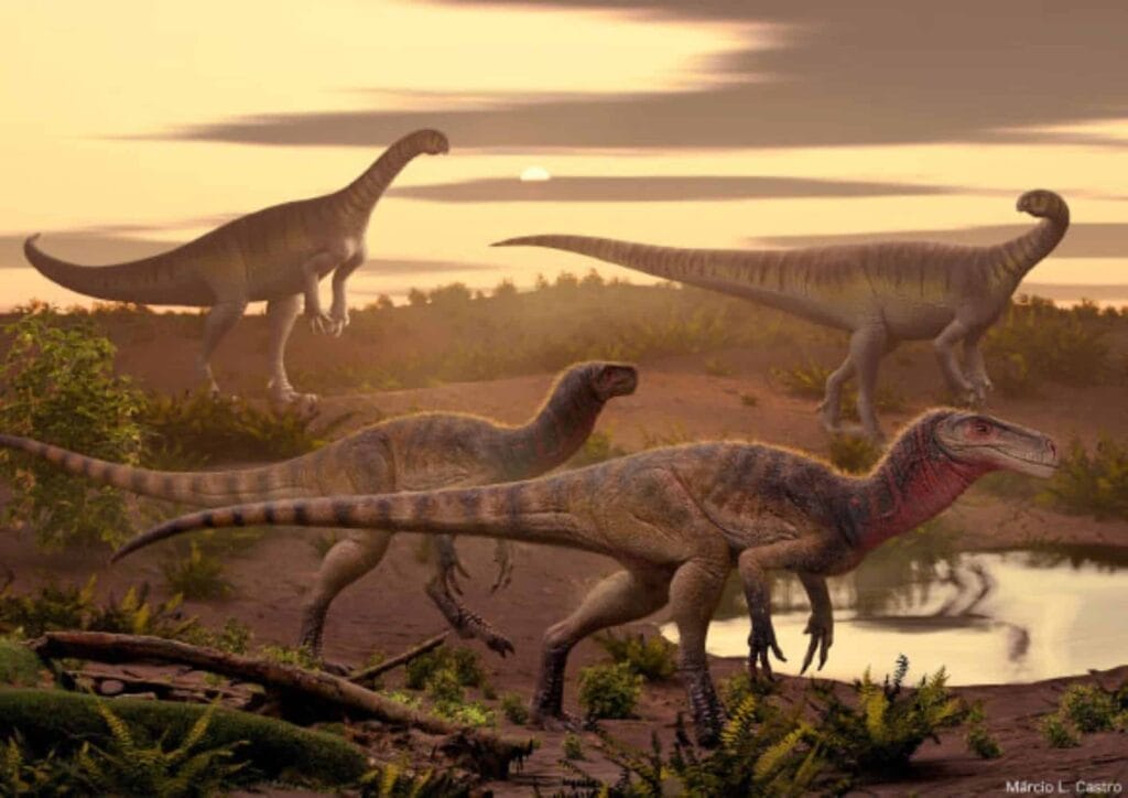 image 13899 Maleriraptor kuttyi