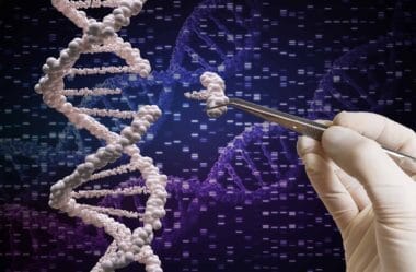 Bebê com doença rara é salvo por terapia genética Crispr inédita