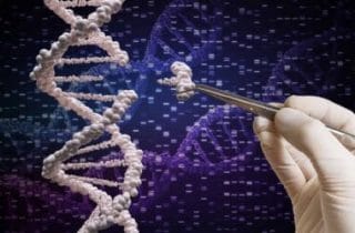 Bebê com doença rara é salvo por terapia genética Crispr inédita